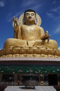 buddha and buddhist teachings